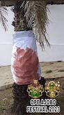 ope ajobo Ile Ife 2026 Festival Ifa June 3 2026