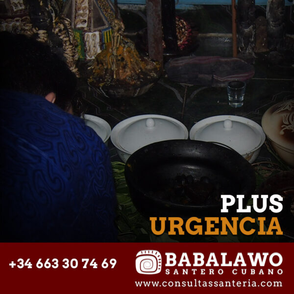 Consulta Urgente con un Babalawo